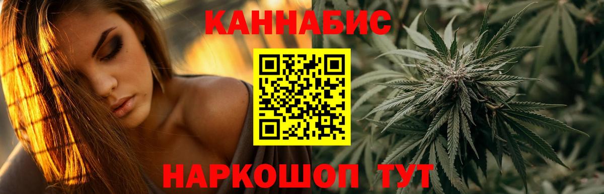 Бошки Шишки ГИДРОПОН  Каннабис планчик  Каннабис сатива  Вход с VPN  Солнечногорск 
